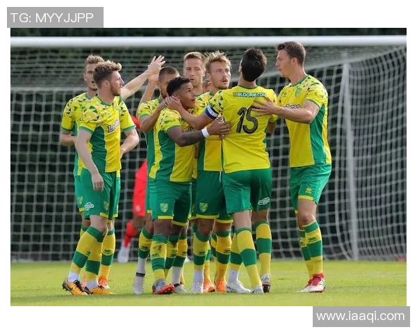 沃特福德与纽卡斯尔联对决前瞻分析及比赛结果预测